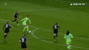 Champions League Football GIF by VfL Wolfsburg