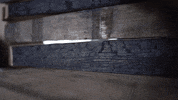 whiskeyandwhitetails whiskey whitetail whitetails whiskey and whiteatils GIF