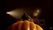 Obsidian Entertainment Insect GIF by Xbox