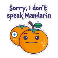 Chinese New Year Orange Sticker by Setel