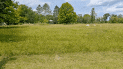 Flying National Wildlife Refuge GIF by U.S. Fish and Wildlife Service