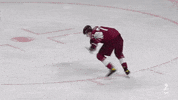 GIF by International Ice Hockey Federation