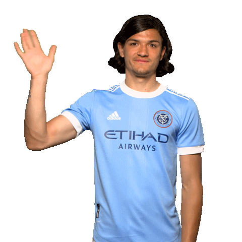 New York City Fc Reaction Sticker by NYCFC