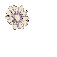 FalabellaCo falabella fatpandora fatpandoraxfalabella falabellacolombia Sticker