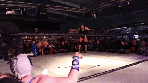 Wpw Uncensored GIF by SHWAperth