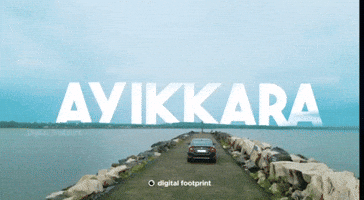Beach Sea GIF