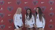 Volleyball Wildcats GIF by CWU Athletics