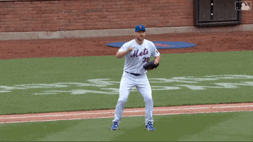 Celebrate Major League Baseball GIF by New York Mets
