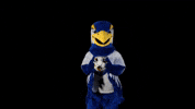 Nigel Nighthawks GIF by University of North Georgia