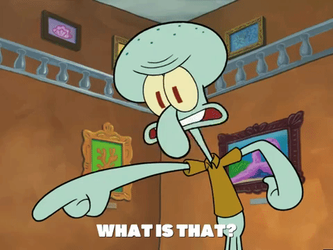 season 5 GIF by SpongeBob SquarePants