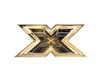 one direction flash Sticker