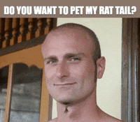 by BECKY'S INCREDIBLE GIF COLLECTION