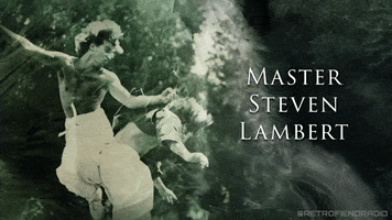 Martial Arts Fight GIF by RETRO-FIEND