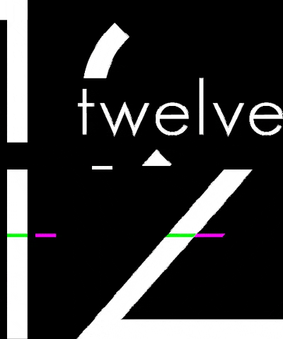 udrovidiu giphygifmaker test glitch twelve GIF