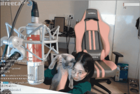 ttaejin giphyupload GIF