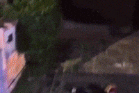 Trending Brazil GIF