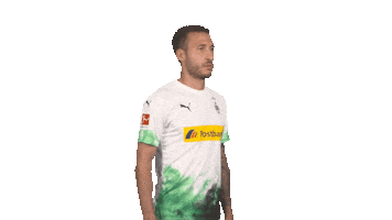 Posing Line Up Sticker by Bundesliga