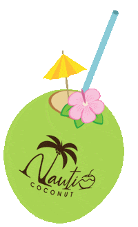 Coconut Sticker by Drink Nauti