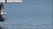 gold medal usa GIF by SB Nation