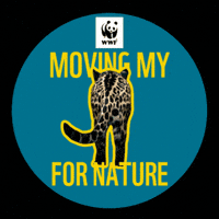 Team Panda 20Km GIF by WWF-Belgium