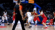 euroleague basketball GIF by EuroLeague