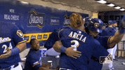 major league baseball dance GIF by MLB