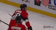 happy ice hockey GIF by NHL