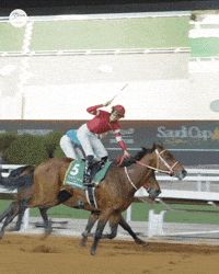 Forever Young Celebration GIF by World Horse Racing