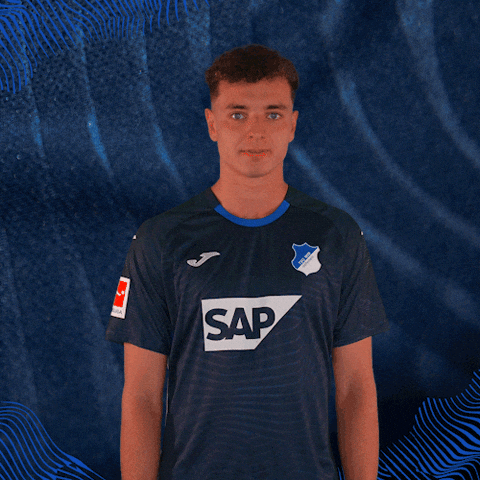Sport Bundesliga GIF by TSG Hoffenheim