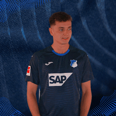 Sport Bundesliga GIF by TSG Hoffenheim