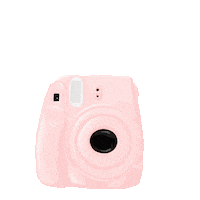 Pink Camera Sticker by MistyRoseGal