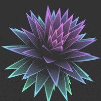 GIF by Borrachas