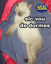 Sono Boa Noite GIF by Sou Eu Na Vida