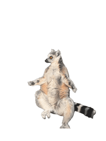 Chillin Tier Sticker by OWLY