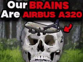 Brains Airbus GIF