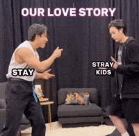 Stray Kids Love GIF