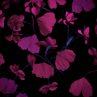 nicolelicht goth witchy florals papercraft GIF