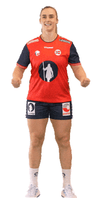 Euro 2024 Handball Sticker by Norges Håndballforbund