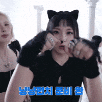 Fight Cat GIF