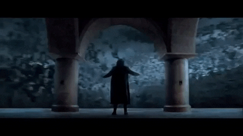 kathiee giphygifmaker vampire bats letalis GIF