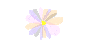 Flower Spring Sticker