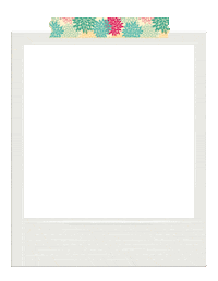 Vintage Photography Sticker by Lens-Aid