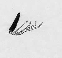 animation matthias brown GIF by TraceLoops