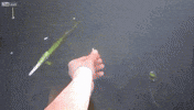 man hand GIF