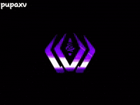Vw Morocco GIF