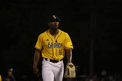 SouthernMissAthletics giphygifmaker baseball lets go pitcher GIF