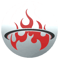 Bbq Napoleon Sticker by grillheaven