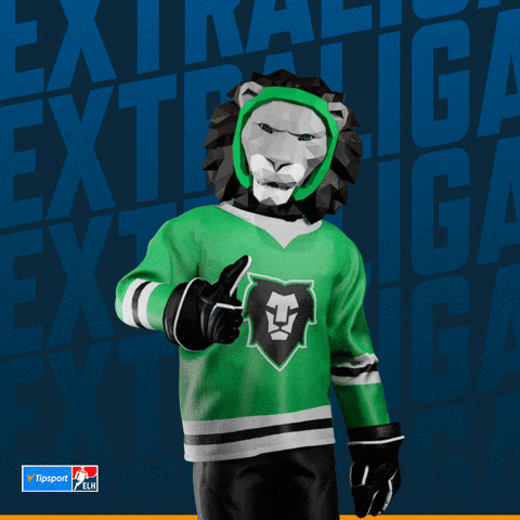 Hockey Hokej GIF by Tipsport extraliga