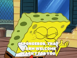 season 8 GIF by SpongeBob SquarePants