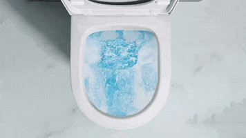 DurovinBathrooms toilet bathroom flush flushing GIF